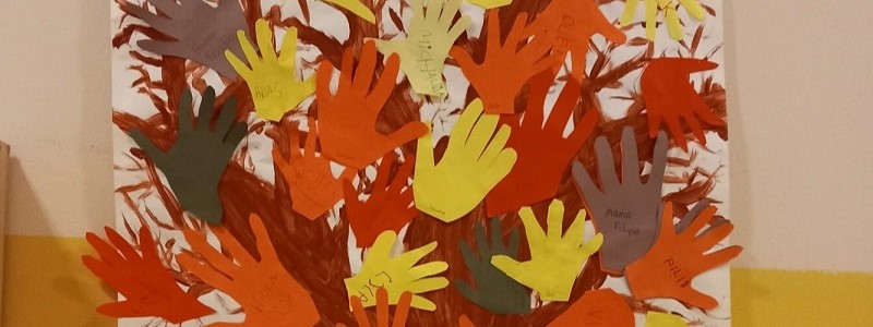 Read more about the article A u Kangurków- jesień