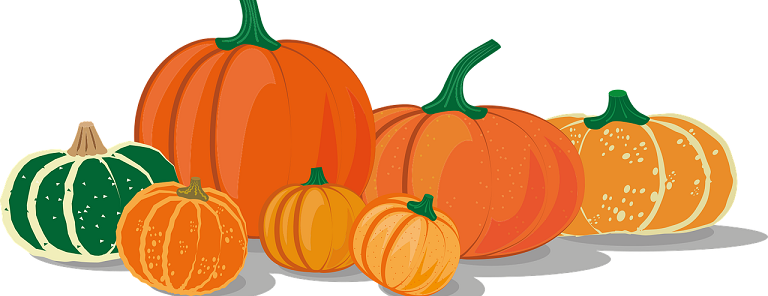 Read more about the article Dzień Dyni