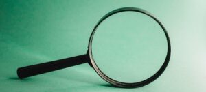 Read more about the article Słoneczka odkrywają świat